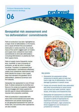 Geospatial risk assessment and 'no deforestation' commitments
