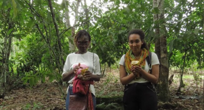 Côte D’Ivoire Insights: A photo story on capacity building in the landscape