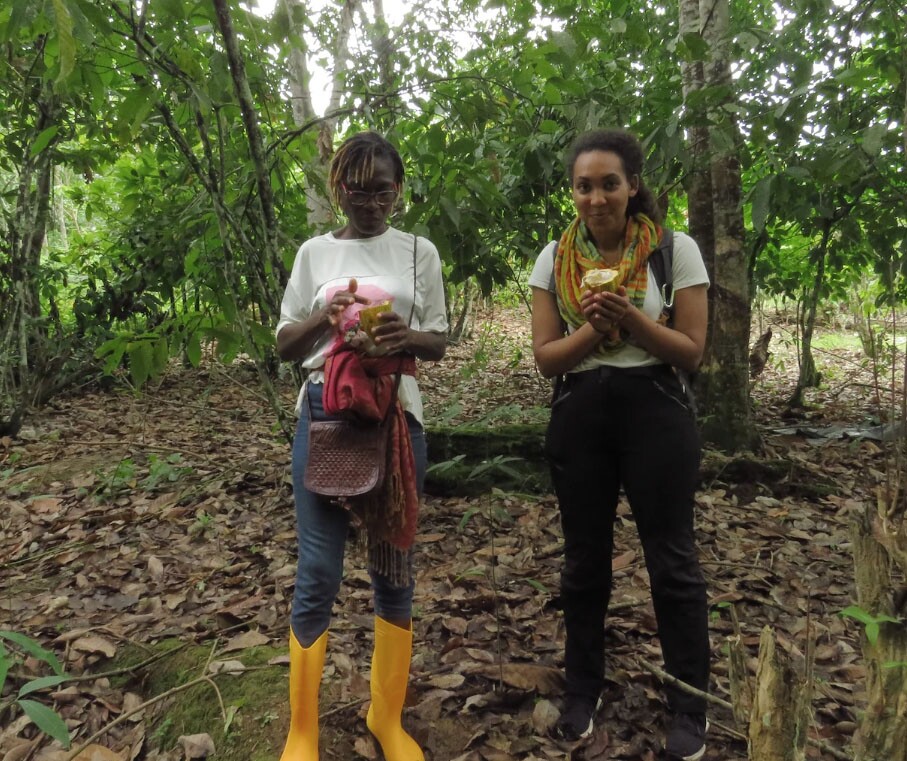 Côte D’Ivoire Insights: A photo story on capacity building in the landscape