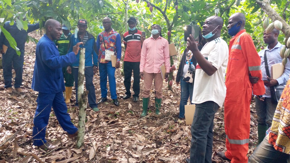 Private Sector Engagement in Sustainability Landscape Initiatives in Cameroon: Guidance on Engagement Principles