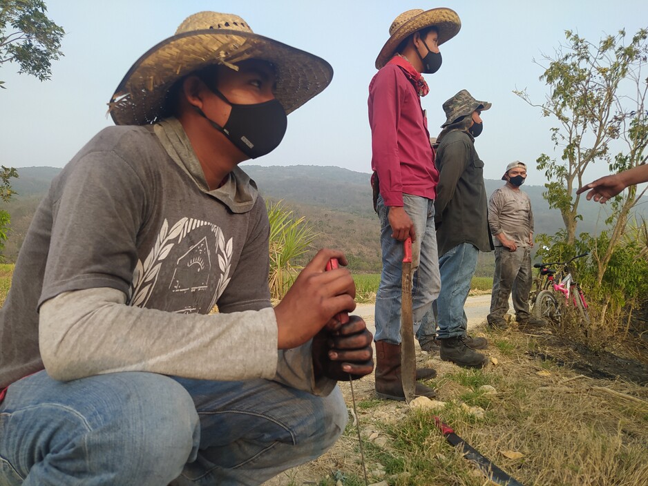 Respecting and Engaging Human Rights Defenders: Practical actions for agribusiness