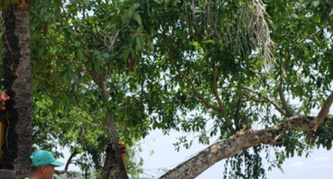Lebrija River Basin and Landscape