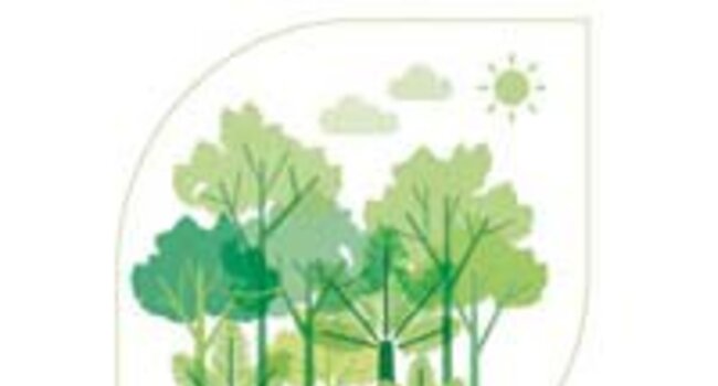 Sprint to 2020: accelerating action to save our forests