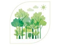 Sprint to 2020: accelerating action to save our forests