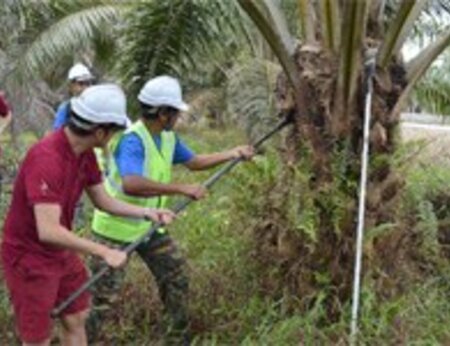 P&G management team get ‘hands-on’ experience with smallholders in Malaysia