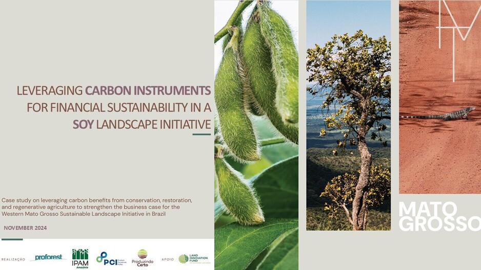 Aprovechamiento de Instrumentos de Carbono para la Sostenibilidad Financiera en una Iniciativa de Paisaje Sojero