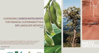 Leveraging Carbon Instruments for Financial Sustainability in a Soy Landscape Initiative