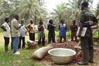 Africa Sustainable Palm Oil: Getting it right from the start
