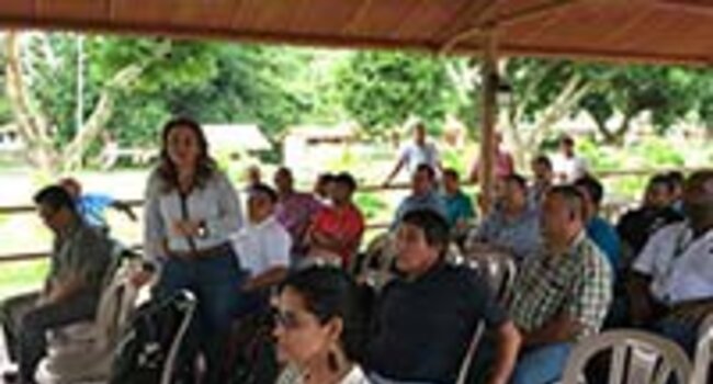 Honduran smallholders test simplified HCV approach