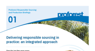 Delivering responsible sourcing in practice: an integrated approach