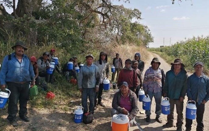 Hidratación y protección para los cortadores de caña | Nestlé, BSM y Proforest