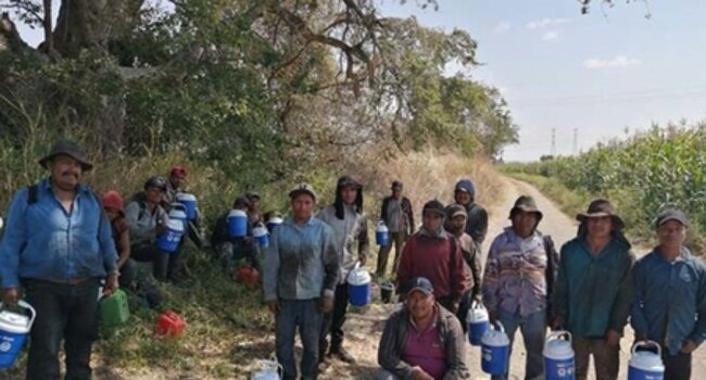 Hydration and safer working conditions for sugar cane cutters
