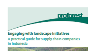 Engaging with landscape initiatives: A practical guide for supply chain companies in Indonesia