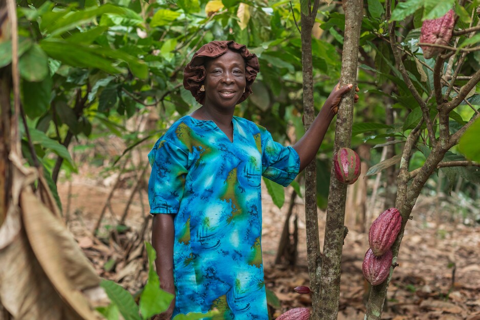 Africa-Latin America Exchange Webinar / Intercambio África-Latinoamérica