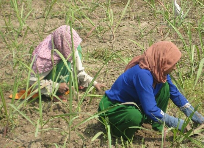 Posibilitar que se escuchen las voces de los trabajadores
