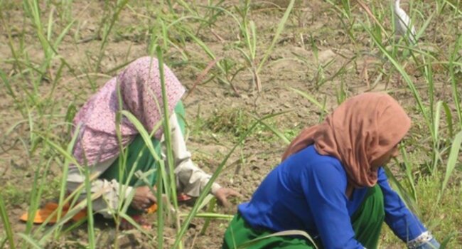 Enabling Workers Voices to be heard