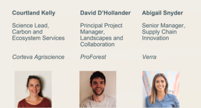 Corporate financing mechanisms for land-based investments