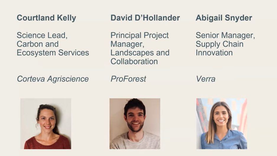 Corporate financing mechanisms for land-based investments