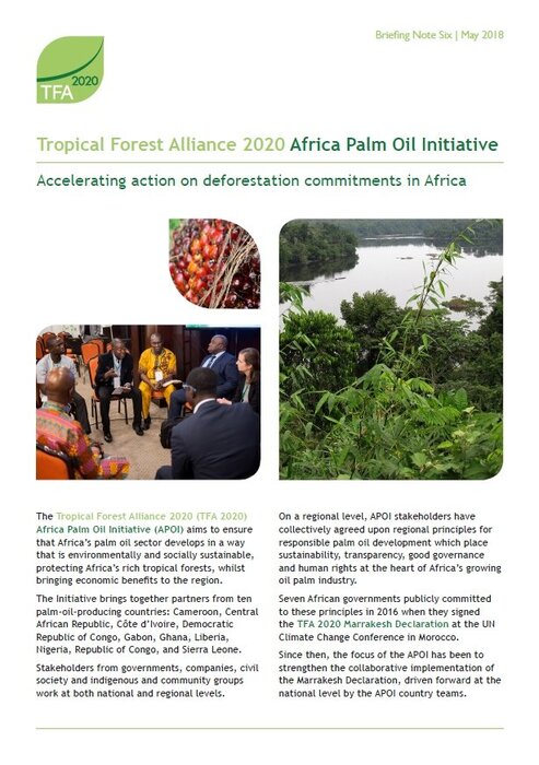 Africa Palm Oil Initiative briefing 6: Accelerating action on deforestation commitments in Africa
