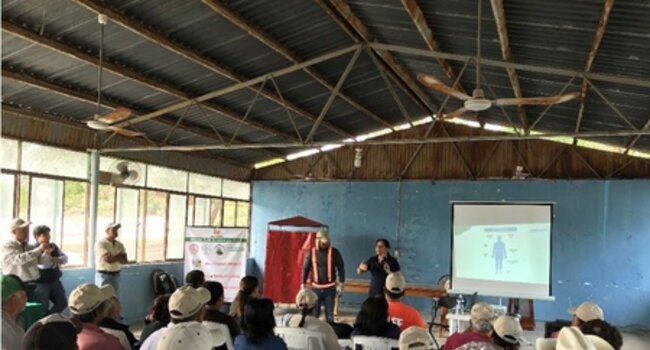 Respecting human rights in sugar cane production