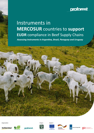 Instrumentos nos países do MERCOSUL para apoiar a conformidade com a EUDR nas cadeias de suprimento de carne bovina