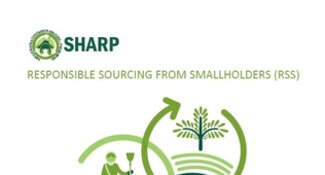 What is Responsible Sourcing from Smallholders (RSS)?