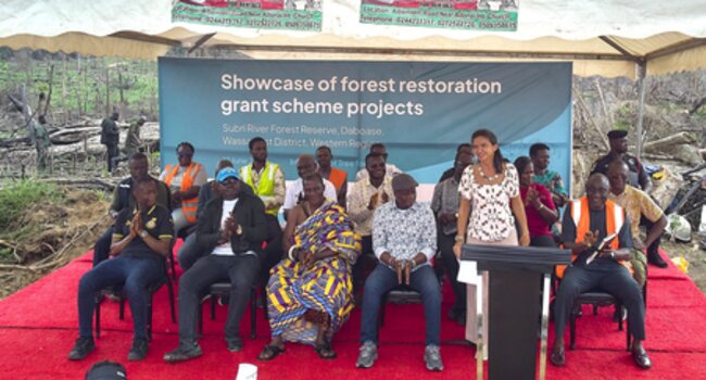 Proforest supports community-led restoration through EFI grant scheme