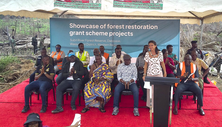 Proforest supports community-led restoration through EFI grant scheme