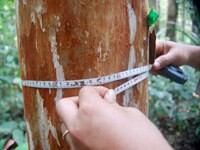 Our highlights from 2016