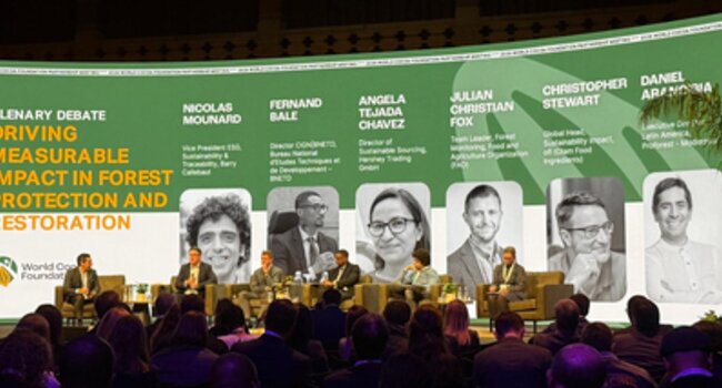 Reunión de Socios 2026 - World Cocoa Foundation