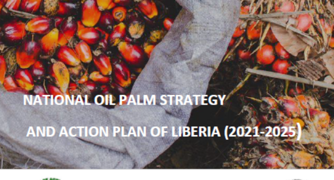 Official launch of Liberia’s National Oil Palm Strategy and Action Plan – 14th April 2022, Monrovia