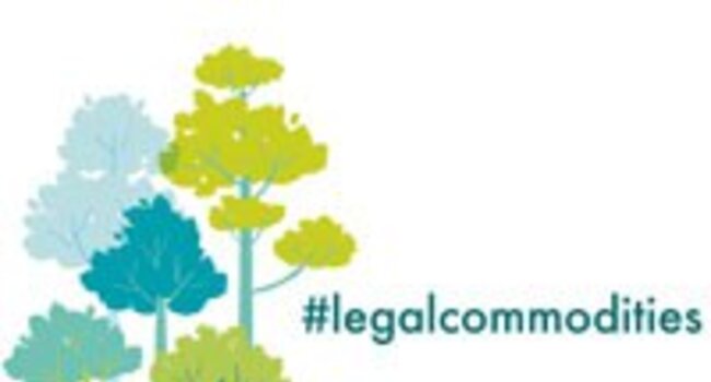 Tackling illegal timber, one barcode at a time
