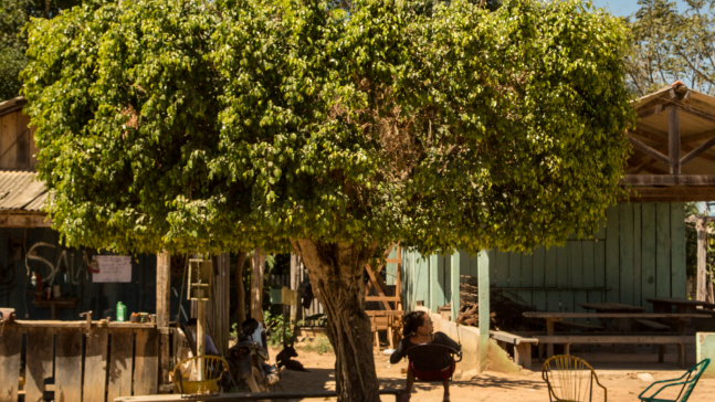 Transamazonica Connections landscape initiative completes Phase I