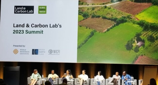 Tackling Conversion of Natural Ecosystems through Collective Action