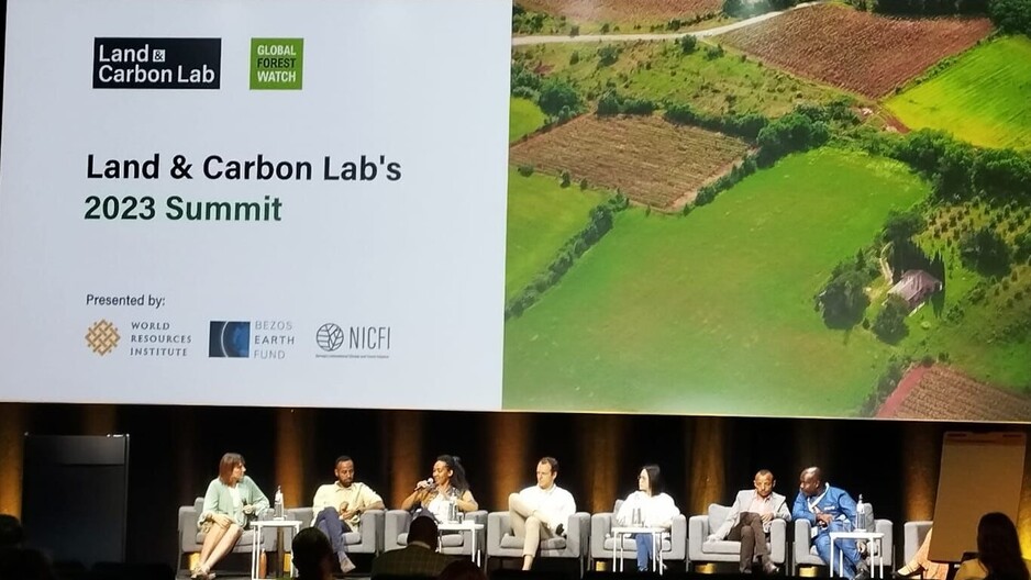 Tackling Conversion of Natural Ecosystems through Collective Action