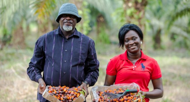 RSPO P&C LA course in Nigeria 2022