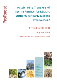 acceperating-transfers-of-interim-finance-for-redd-options-for-early-market-involvement.pdf