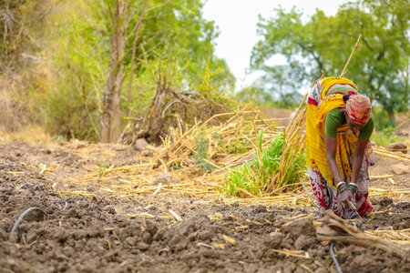Opportunity for collaborative action in Karnataka’s supply chains