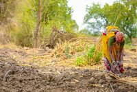 Oportunidad para la acción colaborativa en las cadenas de suministro de Karnataka