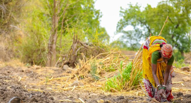 Opportunity for collaborative action in Karnataka’s supply chains