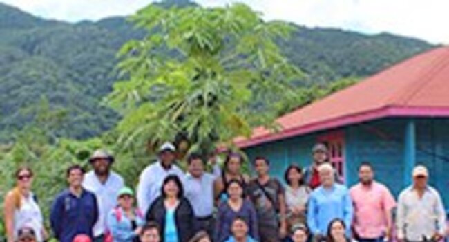 Proforest: Looking back on 2017