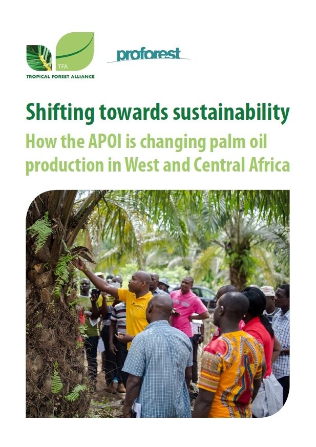Shifting towards sustainability: How the APOI is changing palm oil production in West and Central Africa