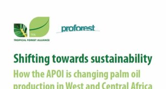 Shifting towards sustainability: How the APOI is changing palm oil production in West and Central Africa