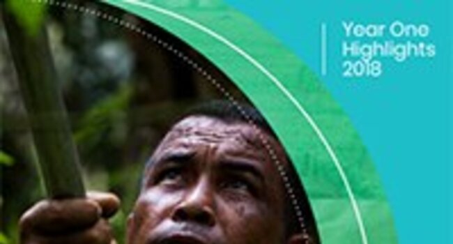 Recent report celebrates Proforest’s work on responsible soy and palm oil