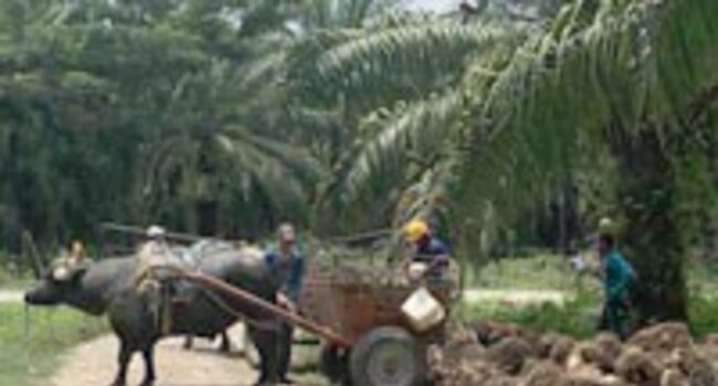 What does supplier engagement entail? A lesson from our work with Cargill