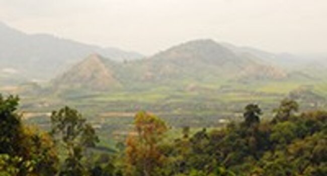 New report from Proforest compares transparency tools in commodity supply chains
