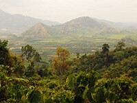 New report from Proforest compares transparency tools in commodity supply chains