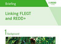 Proforest and the EU REDD Facility publish briefing notes on FLEGT and REDD+