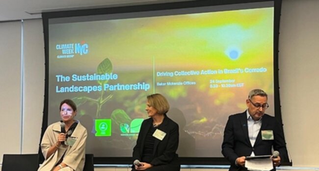 Supporting landscape-level collective action in Brazil’s Cerrado