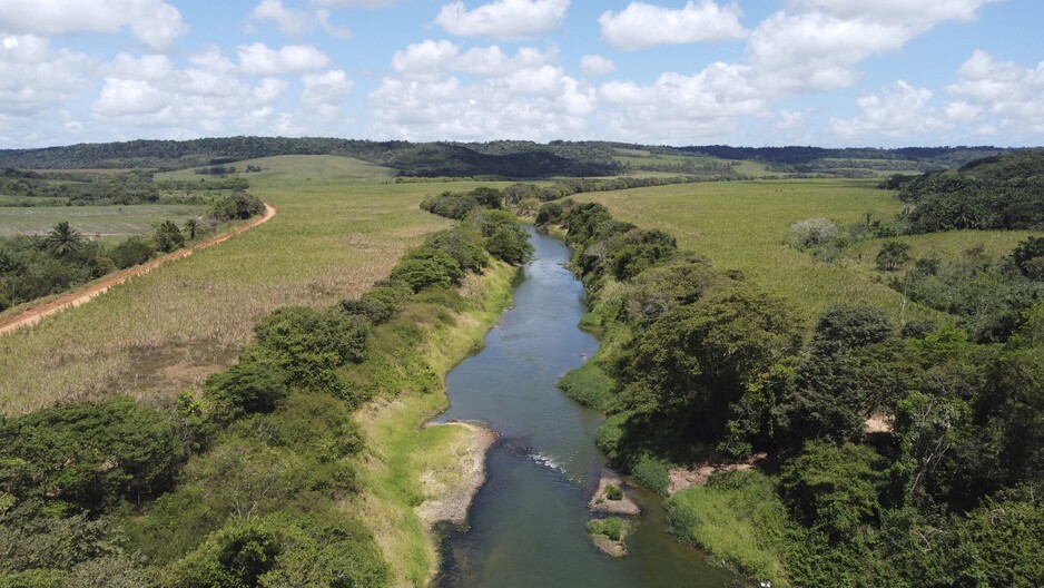 The importance of greater diversification of financing for the resilience of Brazil's agriculture